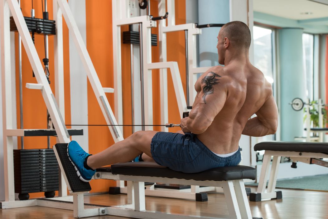 Back Workouts With Cables