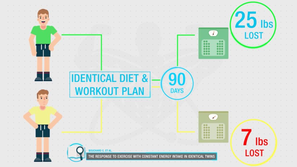 Differences in NEAT metabolism