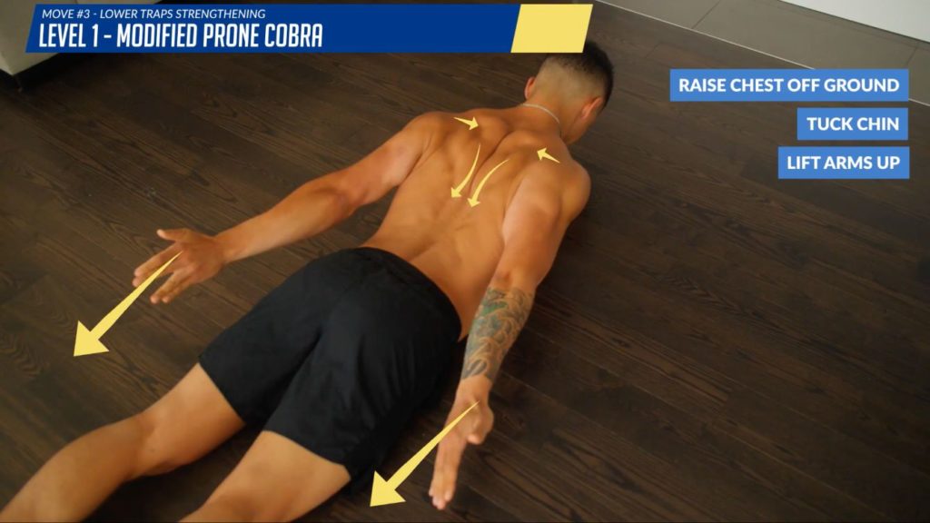 Exercises for better posture modified prone cobra