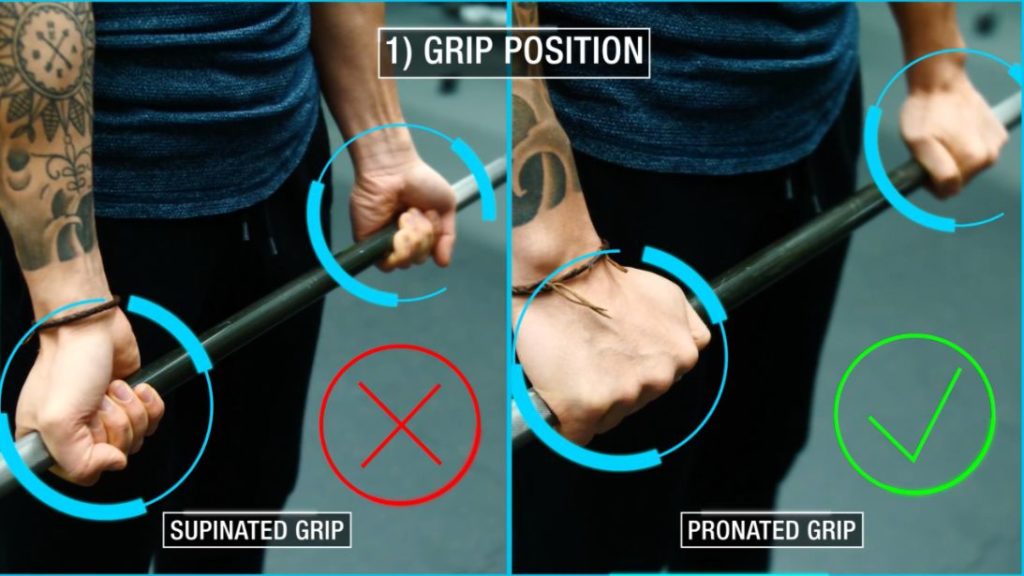 Forearm curls pronated grip