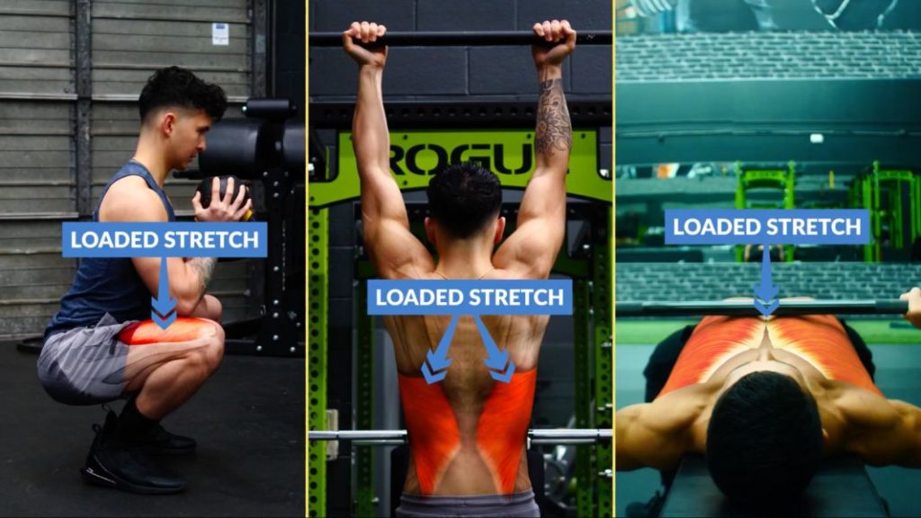 How to build muscle fast by emphasizing loaded stretch