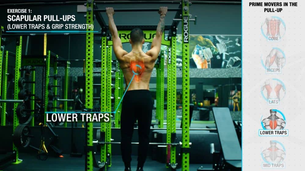 How to increase pull-ups scupular pull ups