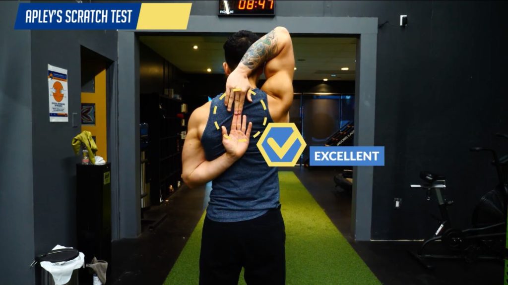 Mobility test for the shoulders