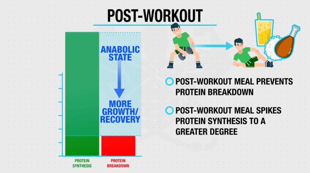 Postworkout anabolic window