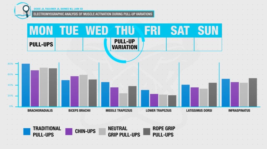 Pull up workout programming