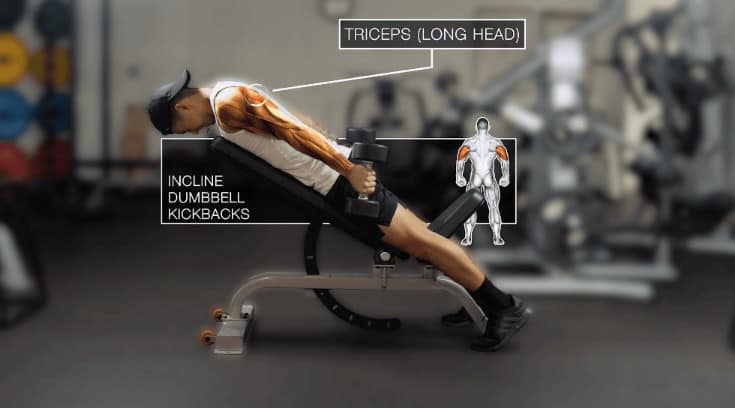 incline dumbbell kickbacks