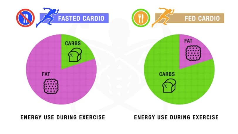 what is fasted cardio