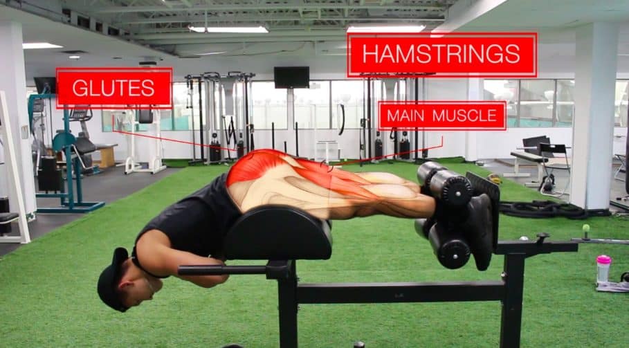 glute ham raise exercise