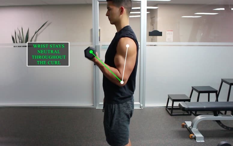 biceps curl fix