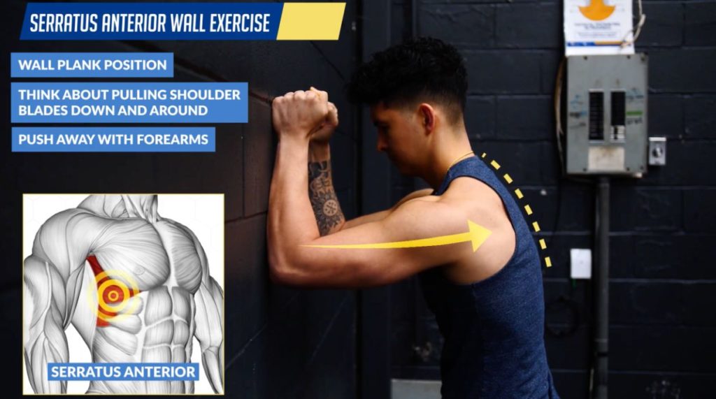 Serratus anterior wall exercise