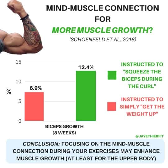 biceps growth study