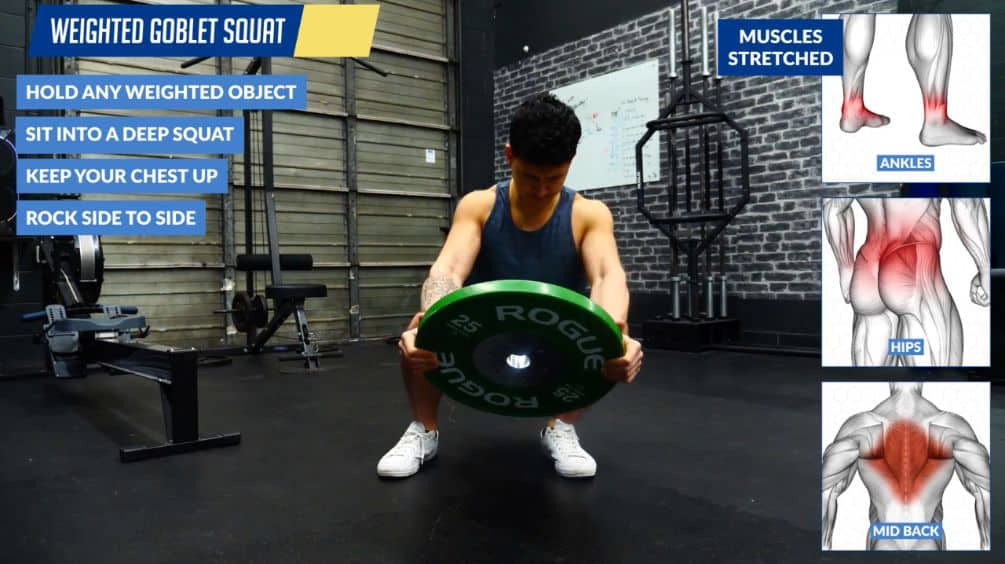 Weighted goblet squat