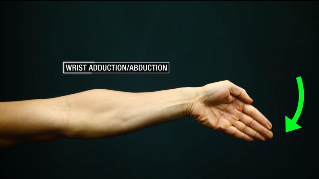 Wrist adduction and abduction