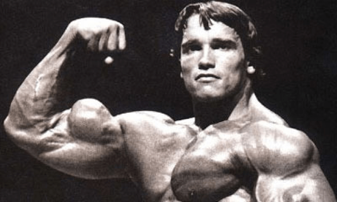 arnold's bicep peak