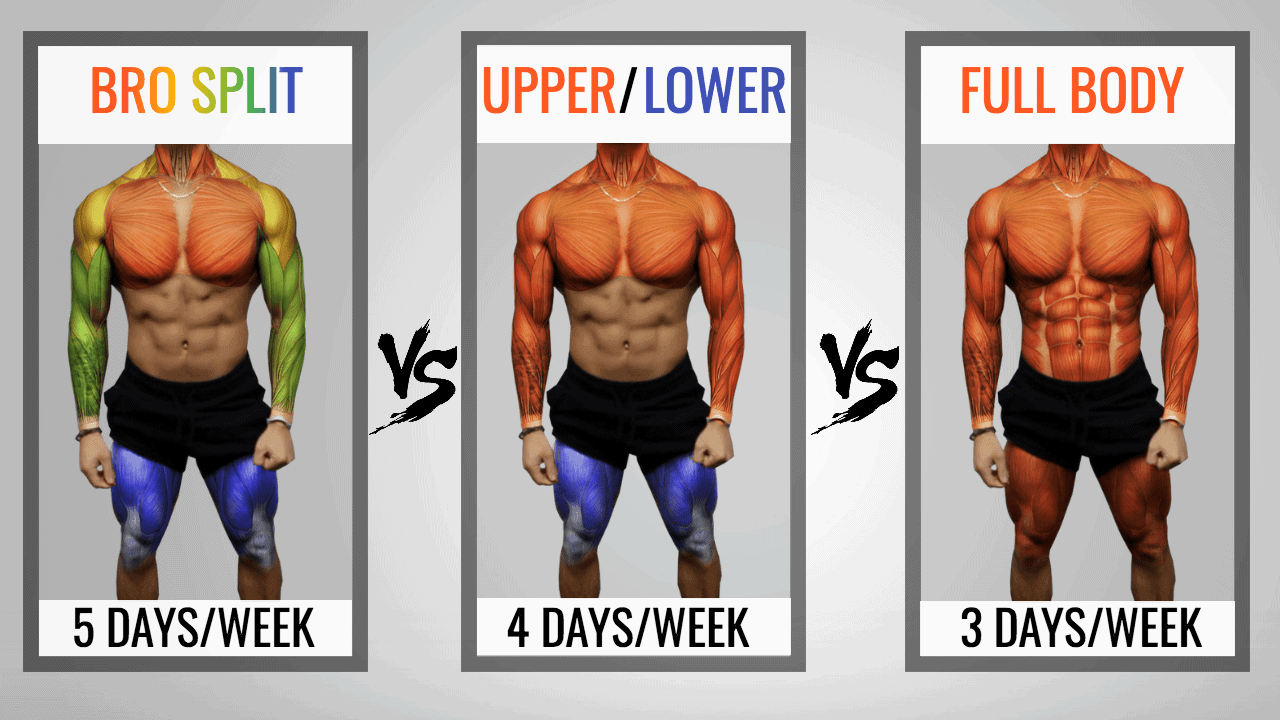 best workout split for-mass training splits