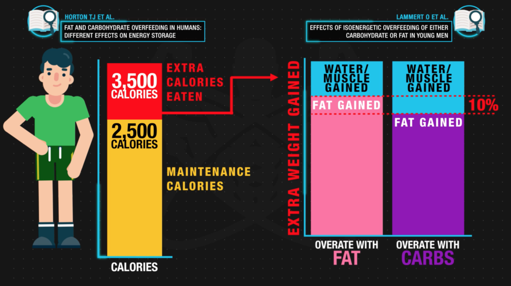 Cheat meal plan macros distribution