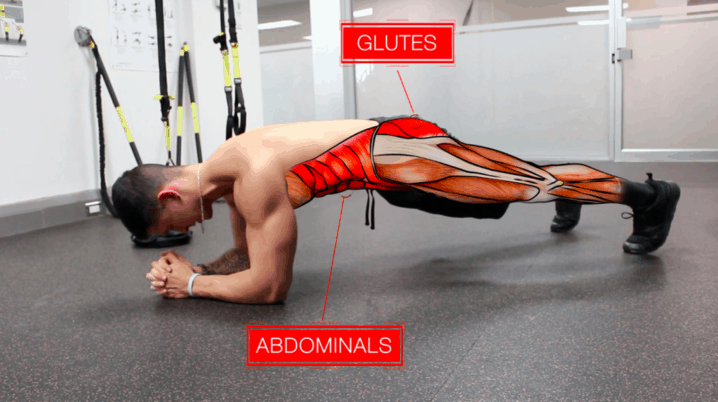 glutes and abdominals