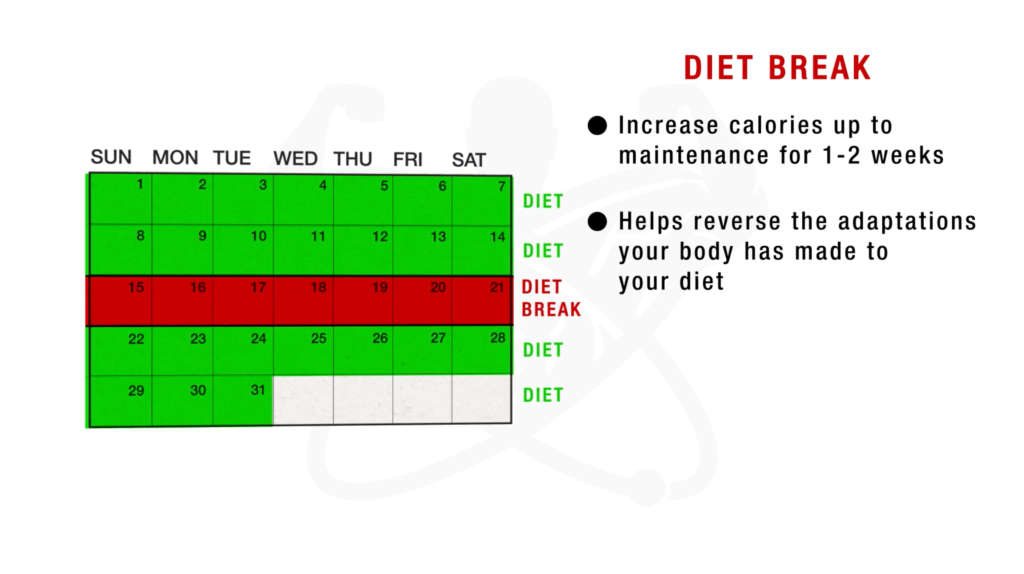 How to lose fat but keep muscle diet break-min