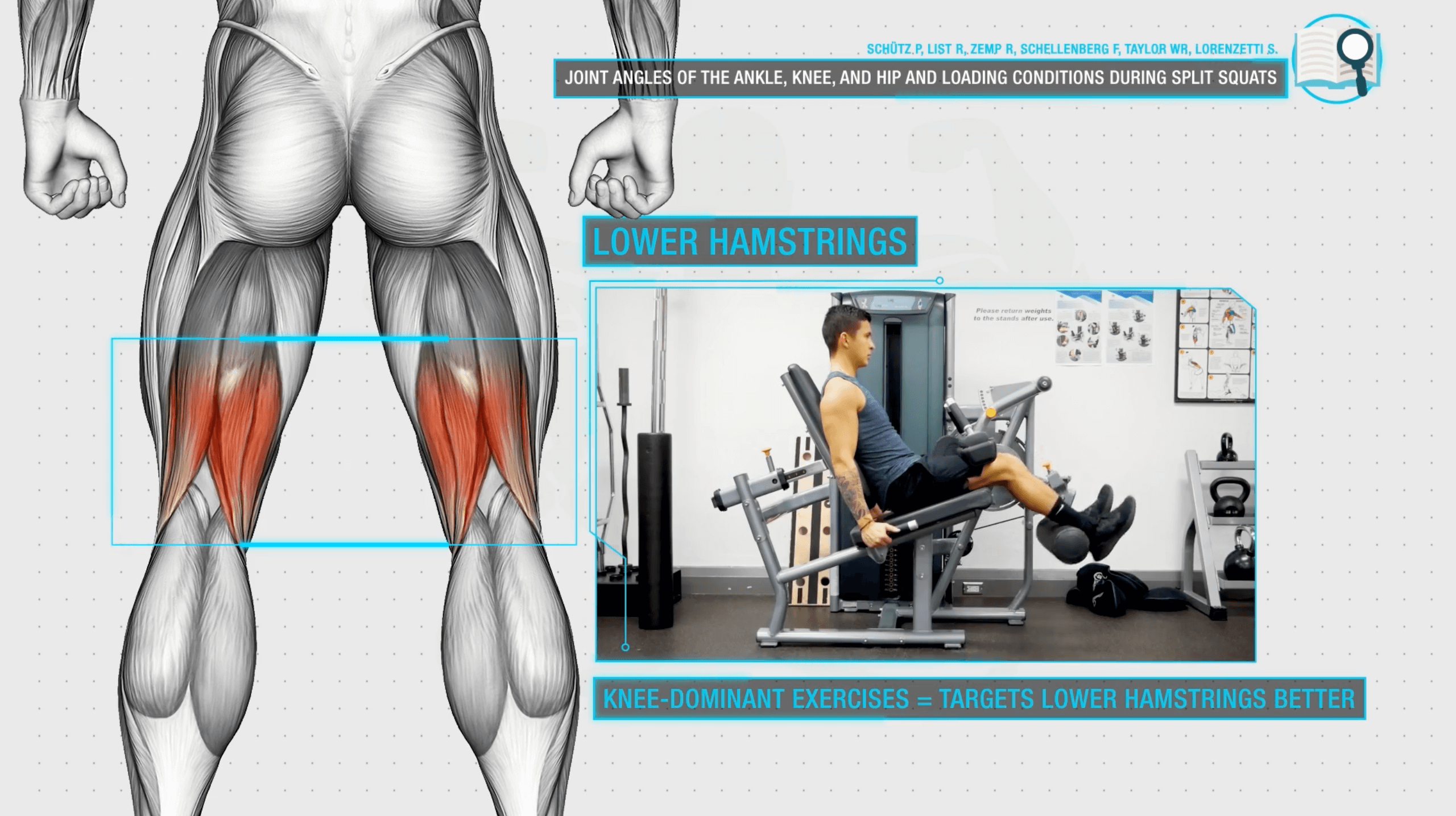 Lower hamstring development