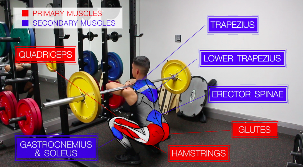 front squat for the best leg workout