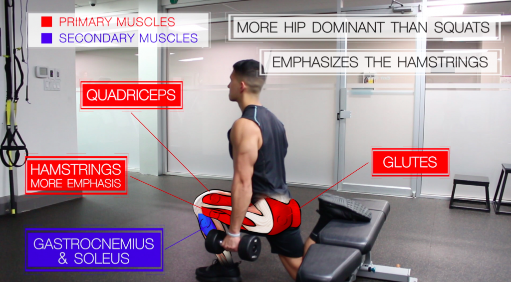 bulgarian split squat leg exercise