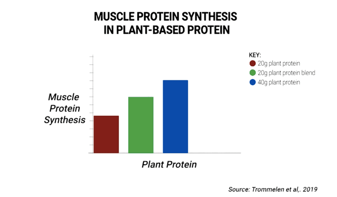 best protein sources for vegans