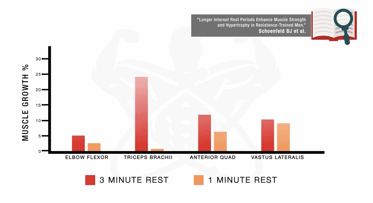 muscle growth rest periods