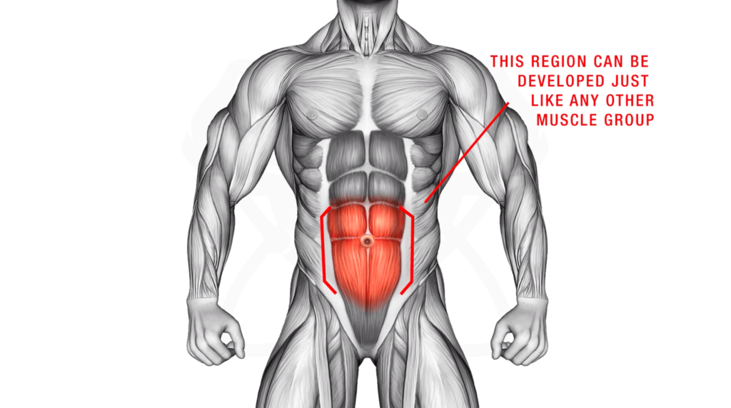 Selective targeting of the lower abs