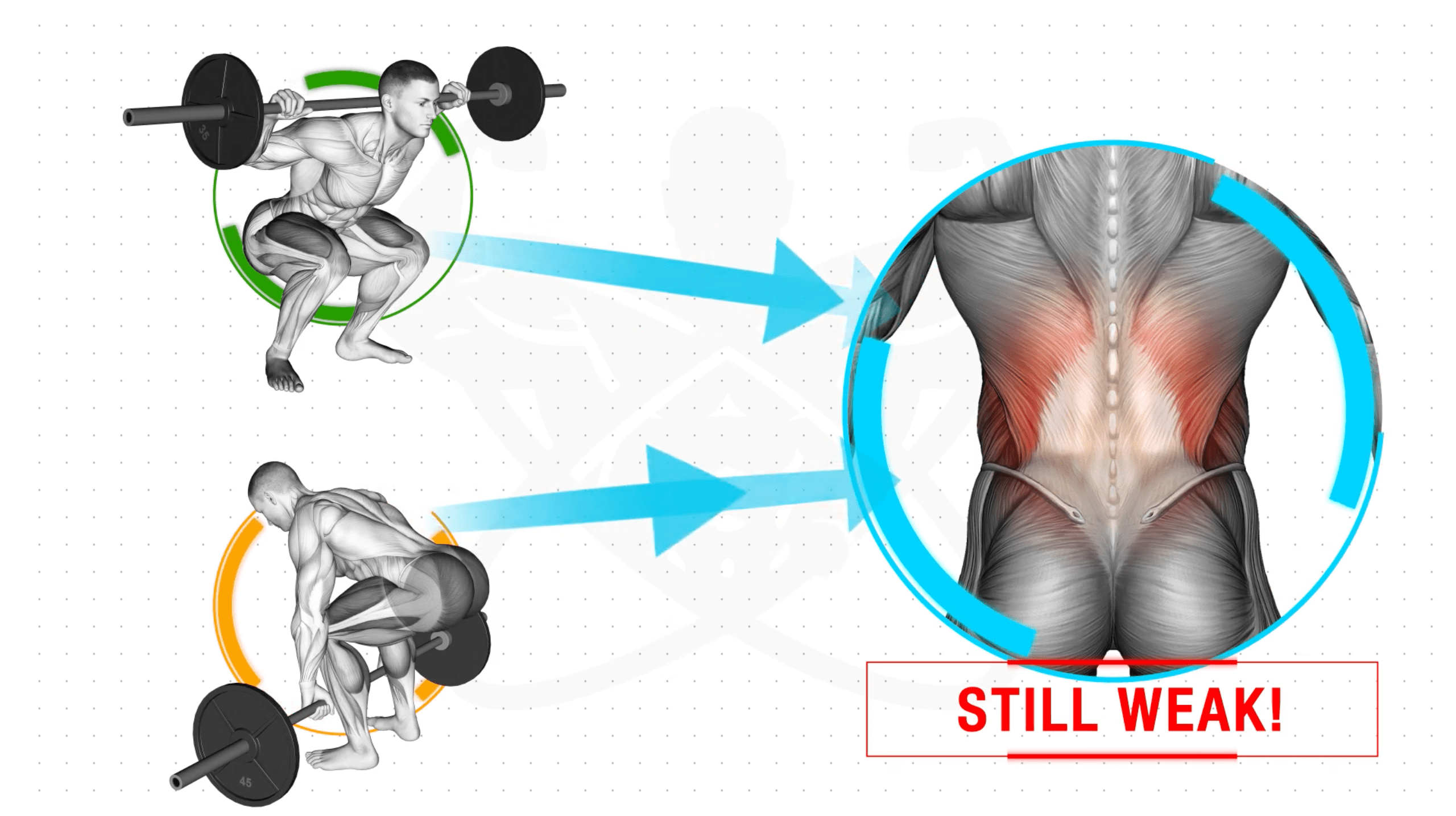 Squats and deadlifts issues-min