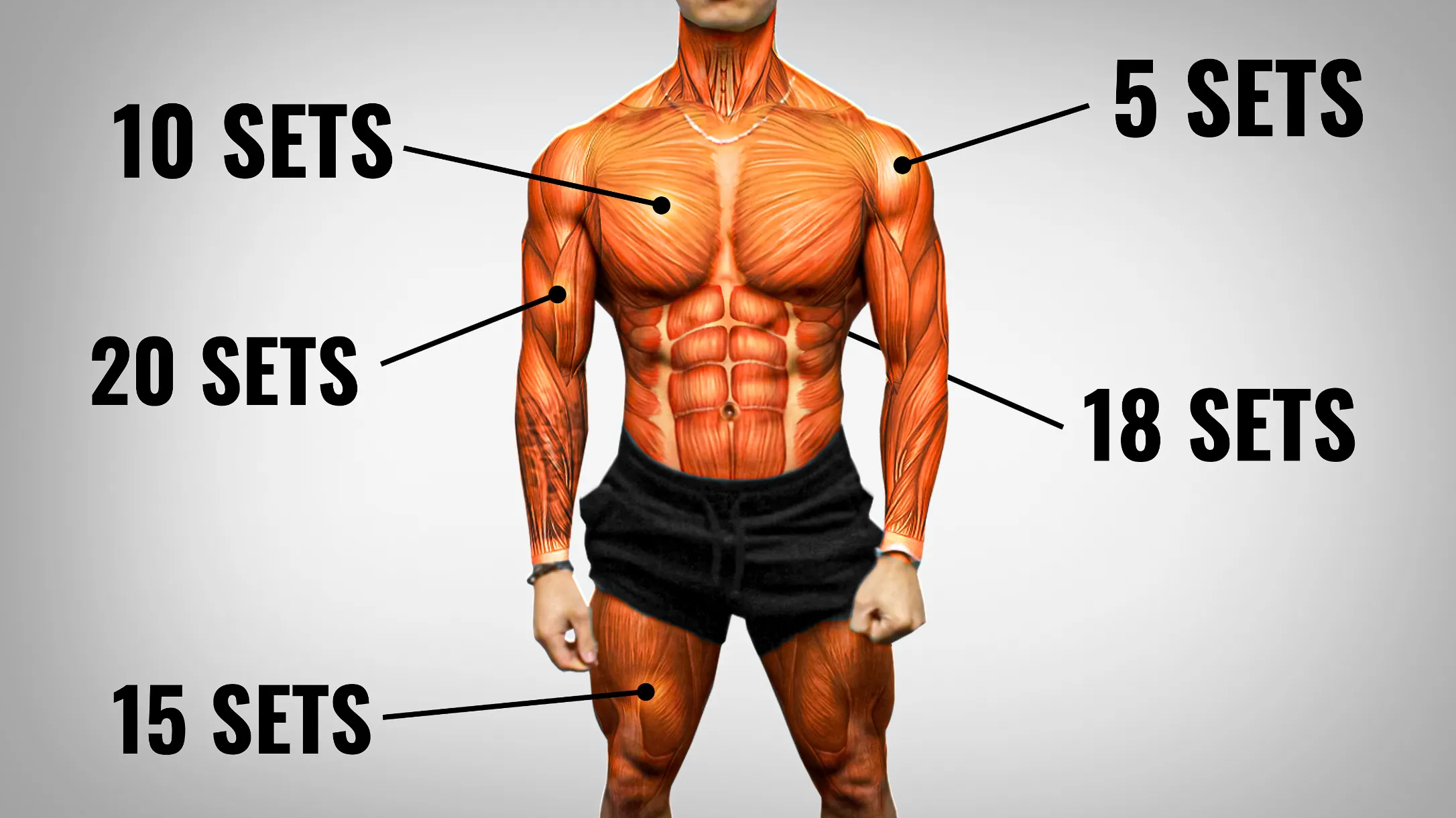 how many sets per muscle group per week cover