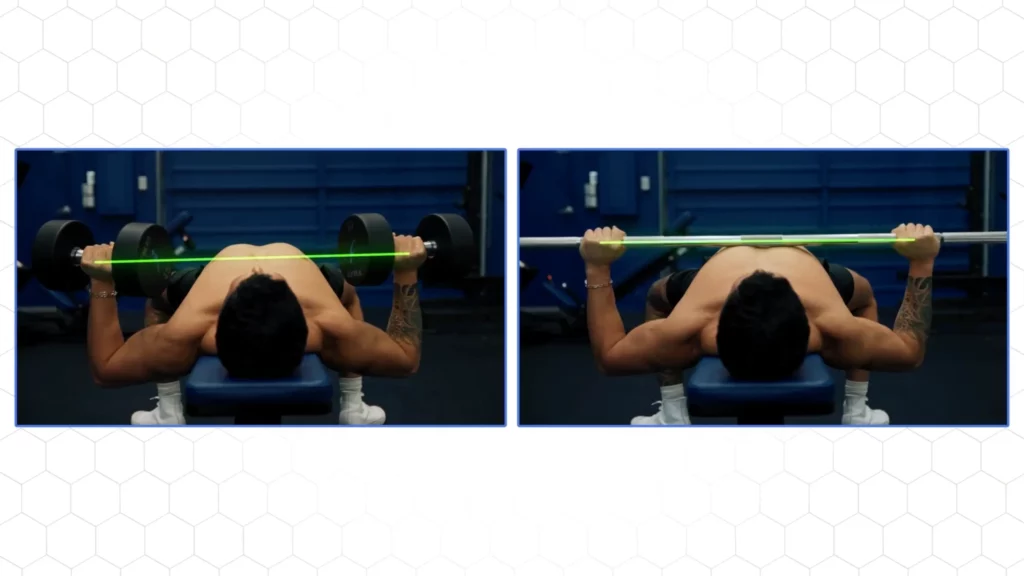 Range of motion on the barbell bench press vs dumbbell press