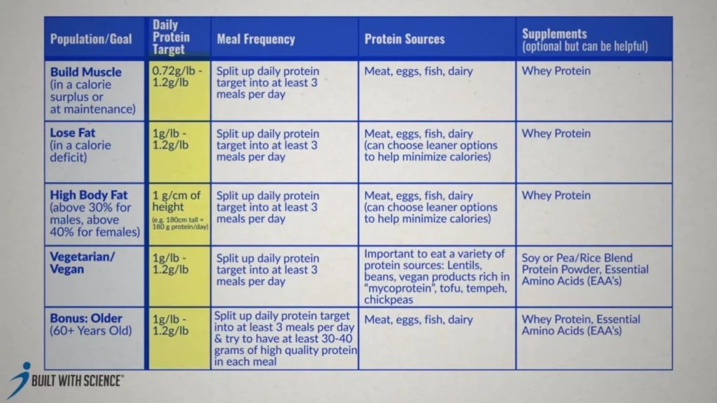 Recommendations on how to use protein for muscle gain